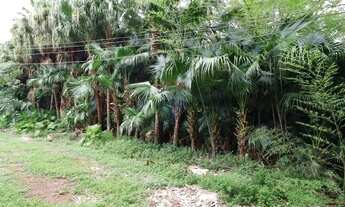 Imagem 4: Sítio à venda em Atibaia Bairro do Tanque