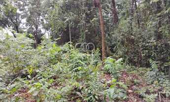 Imagem 3: Lote à venda - Em Macacos!