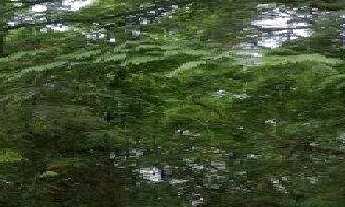 Imagem 2: Terreno à venda, 1237 m² por R$ 3.999.900,00 - Vila Conceição - Diadema/SP