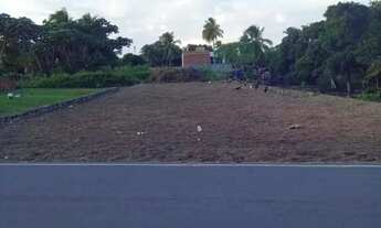 Imagem 4: TERRENO MOSQUEIRO PROX SUPERMERCADO PASSEO