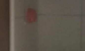 Imagem 7: CASA PARA ALUGAR R$550 REAIS