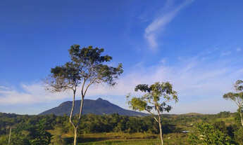 Imagem: Mega Oportunidade