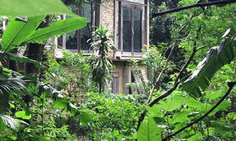 Imagem 6: Sítio na Montanha ????!!!