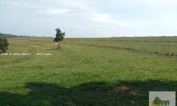 Imagem 3: Fazenda de 42 Alqueires em Itapetininga