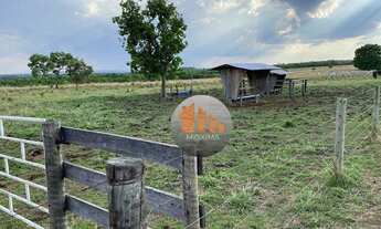 Imagem 2: Fazenda à venda, 154 alqueires por R$ 30.000.000 - Jussara/GO