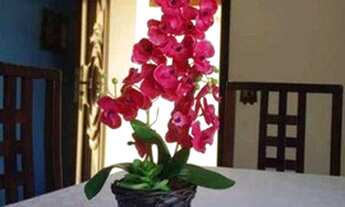 Imagem 3: Casa com 3 dormitórios à venda, 190 m² por R$ 460.000,00 - Centro - Itariri/SP