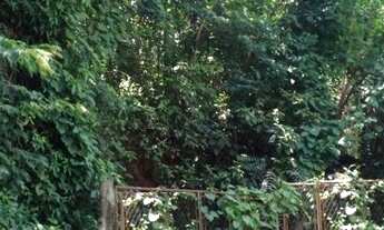 Imagem 4: TERRENO NA CIDADE JARDIM