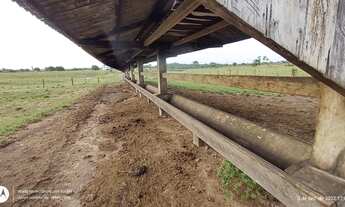 Imagem 4: 81 Alqueire pronta próx porto de Barcarena top