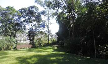 Imagem 3: Terreno para Venda em Córrego Grande Florianópolis-SC - 742