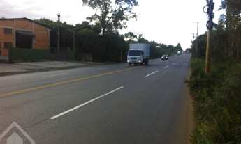 Imagem 4: CACHOEIRINHA - Terreno Padrão - Distrito Industrial