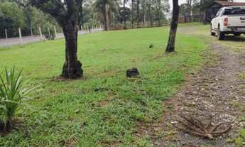 Imagem 5: Chácara em São Mateus do Sul, região olho D'Água