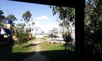 Imagem 5: Vendo Chácara, Cotia - Caputera, Raposo, Br116, Documento ok, Piscina, 1200m2