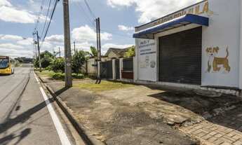 Imagem 4: Terreno de 403 m² À Venda por R$ 380.000 - Campina da Barra - Araucária/PR