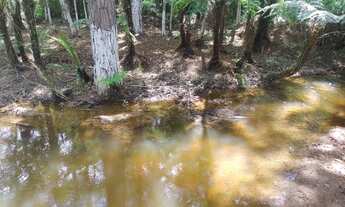 Imagem 2: Super chacrinha plaina próximo cachoeira turística 217 mil reais