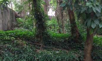 Imagem 7: TERRENO NA CIDADE JARDIM