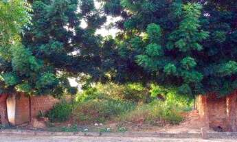 Imagem: Terreno - Sambaíba - MA