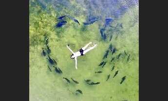Imagem 5: Terreno Lagoa dos Tambaquis