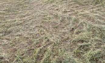 Imagem 7: Lote/Terreno para venda com 250 m² em Jardim Itapoan - Monte Mor - SP