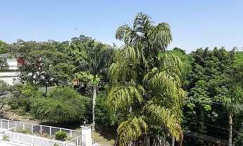 Imagem 6: LINDA CASA NA MELHOR PARTE DA CIDADE JARDIM