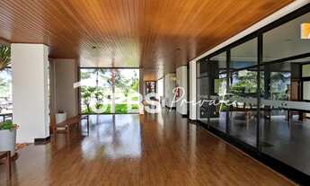 Imagem 3: Terras Alpha 2 - Terreno