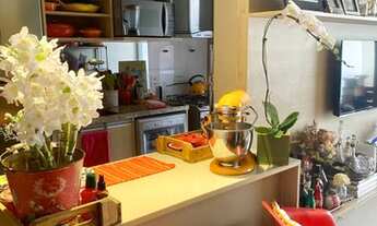 Imagem 4: SãO PAULO - Padrão - Vila Ipojuca