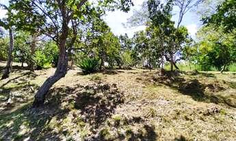 Imagem 6: Chácara região do Manso