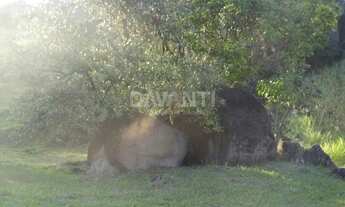 Imagem 2: Terreno - Moinho de Vento - Valinhos