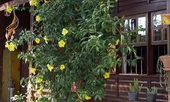 Imagem 2: VIAMãO - Casa Padrão - Santa Isabel