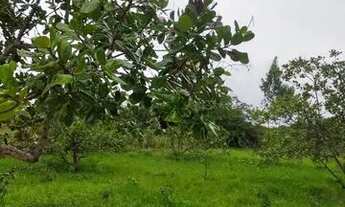 Imagem 14: Vende-se Fazenda Rio Grande / Perimetro: 3,162,32m