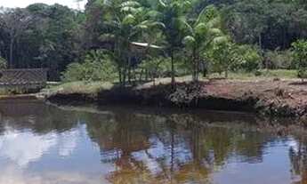 Imagem 7: Vendo Lindo Balneário localizado na Rodovia AM 240 km 70, próximo à Vila de Balbina