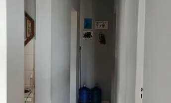 Imagem 6: Jardim Flor de Lis