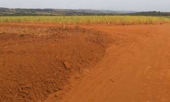 Imagem 4: 7,88 alq Brazabrantes