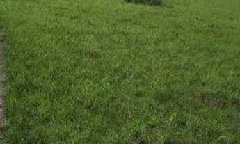 Imagem 5: Vendo terreno Terreno / lote com venda por R$70.000