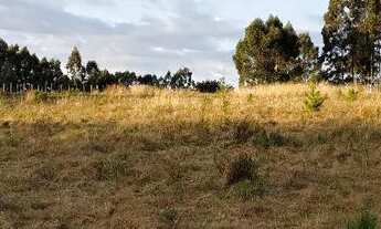 Imagem: Chácara Próxima ao Aeroporto