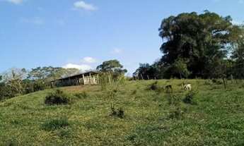 Imagem 2: Área excepcional com 330.000 m 2 em Alagoinhas - Bairro Mangalô