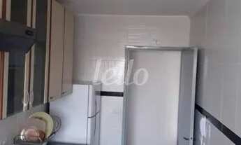 Imagem 4: São Paulo - Apartamento Padrão - Vila Zilda