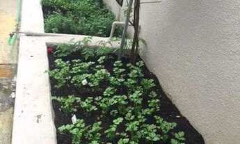 Imagem 6: SÃO PAULO - Apartamento Padrão - VILA MARIANA