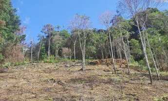 Imagem 4: Terreno 5.000 m². Condomínio Fechado em Marechal Floriano - ES