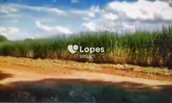 Imagem: Fazenda a Venda 402 alqueires -São Carlos