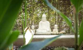Imagem 3: CASA DE LUXO NA PRAIA DOS NATIVOS A 15 METROS DO MAR