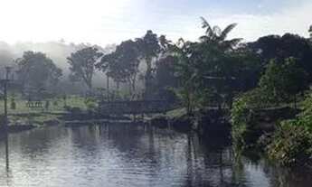 Imagem 6: Vendo Lindo Balneário localizado na Rodovia AM 240 km 70, próximo à Vila de Balbina