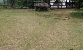 Imagem 7: Sítio Tamarino - Imovel Rural - 24ha - 240.000,00m Aluguel Natuba, Vitória de Santo Antão