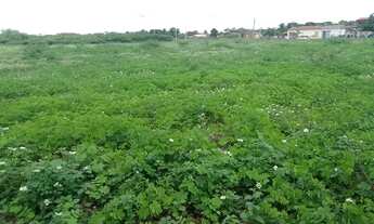 Imagem 4: Área de 29000m2, Nisia Floresta, 3 Km da Praia