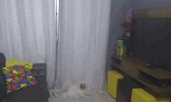 Imagem 5: APTO REFORMADO 2 QTS ARMARIOS LAZER PORTARIA COND APENAS 200 REAIS 1 VG DOC OK