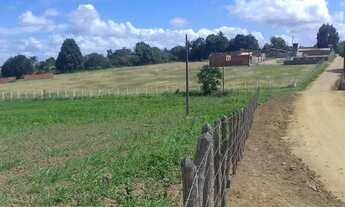 Imagem 7: Loteamento com excelente localização: Flor do Genipapo, em até 42 vezes, em Sapeaçu