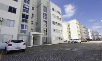 Imagem 7: Quer alugar ou comprar? Apto 2 dormitórios e 1 vaga, próx a Av. Bento Gonçalves-Pelotas/RS