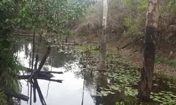 Imagem 3: Vendo Sítio Med 620.000m2 na Estrada de Autazes Km 32 em frente e comunidade Bom Jesus