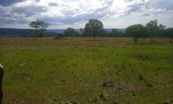 Imagem: Fazenda de 625 Hectares de Terras de Cultura