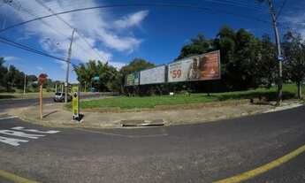 Imagem 2: Terreno Área em São José do Rio Preto