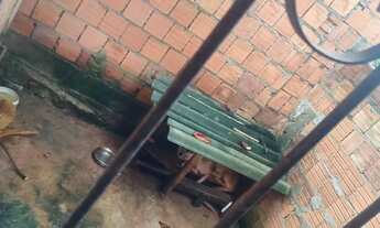 Imagem 2: Casa c de deus Casa com 2 dormitórios